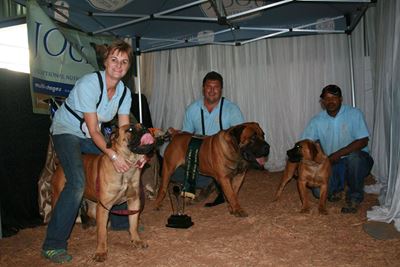 Plaaslike boerboele presteer